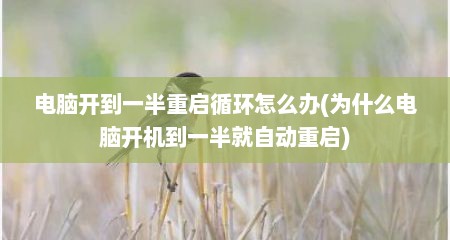 电脑开到一半重启循环怎么办(为什么电脑开机到一半就自动重启)
