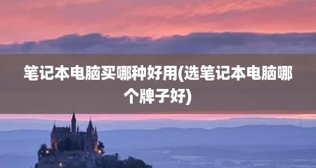 笔记本电脑买哪种好用(选笔记本电脑哪个牌子好)