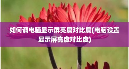 如何调电脑显示屏亮度对比度(电脑设置显示屏亮度对比度)