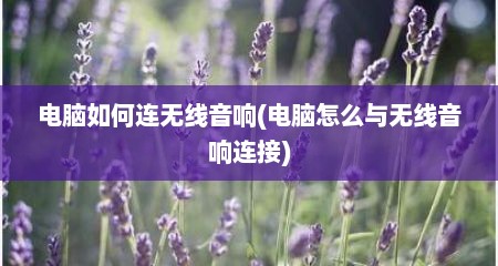 电脑如何连无线音响(电脑怎么与无线音响连接)