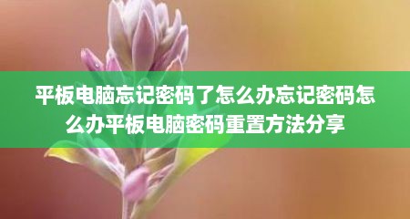 平板电脑忘记密码了怎么办忘记密码怎么办平板电脑密码重置方法分享