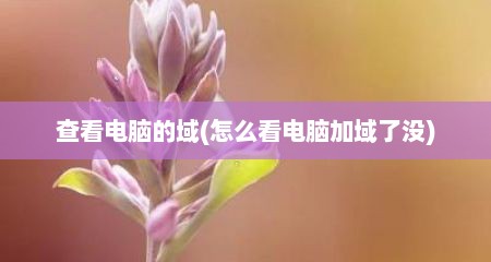 查看电脑的域(怎么看电脑加域了没)