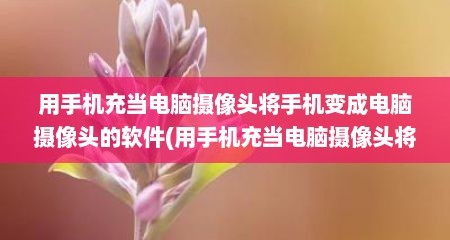 用手机充当电脑摄像头将手机变成电脑摄像头的软件(用手机充当电脑摄像头将手机变成电脑摄像头可以吗)