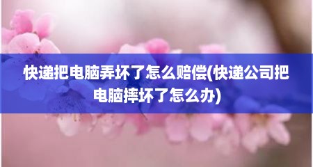 快递把电脑弄坏了怎么赔偿(快递公司把电脑摔坏了怎么办)