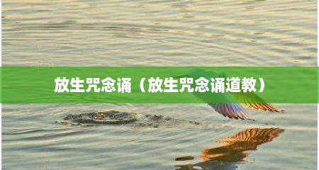 放生咒念诵（放生咒念诵道教）