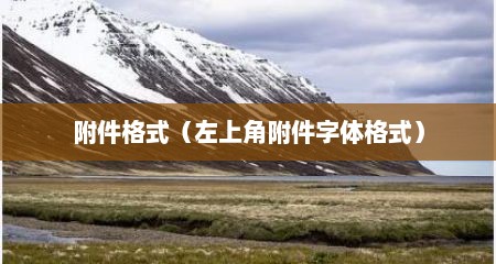 附件格式（左上角附件字体格式）