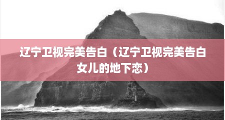 辽宁卫视完美告白（辽宁卫视完美告白女儿的地下恋）