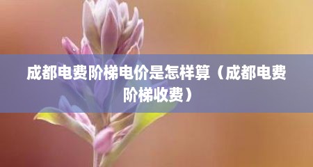 成都电费阶梯电价是怎样算（成都电费阶梯收费）
