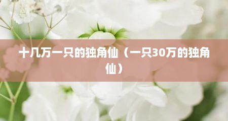 十几万一只的独角仙（一只30万的独角仙）