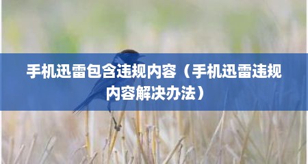 手机迅雷包含违规内容（手机迅雷违规内容解决办法）