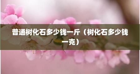 普通树化石多少钱一斤（树化石多少钱一克）
