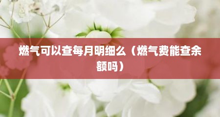 燃气可以查每月明细么（燃气费能查余额吗）