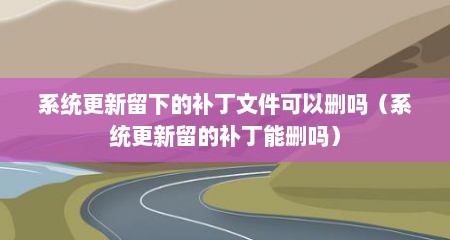 系统更新留下的补丁文件可以删吗（系统更新留的补丁能删吗）