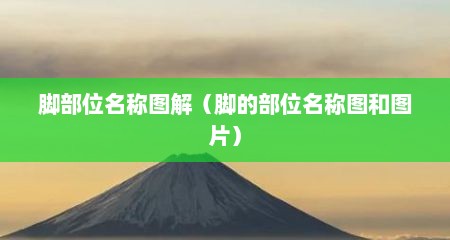 脚部位名称图解（脚的部位名称图和图片）