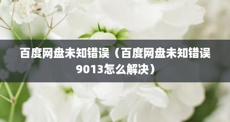 百度网盘未知错误（百度网盘未知错误9013怎么解决）