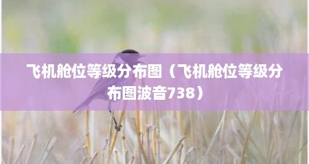 飞机舱位等级分布图（飞机舱位等级分布图波音738）