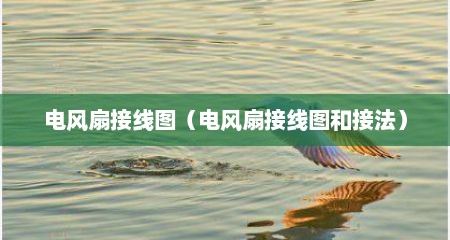 电风扇接线图（电风扇接线图和接法）