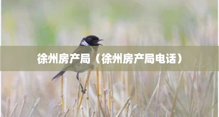 徐州房产局（徐州房产局电话）