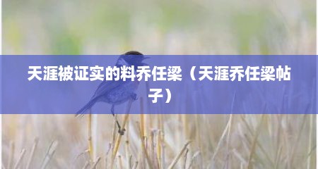天涯被证实的料乔任梁（天涯乔任梁帖子）
