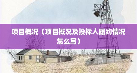 项目概况（项目概况及投标人履约情况怎么写）