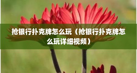 抢银行扑克牌怎么玩（抢银行扑克牌怎么玩详细视频）