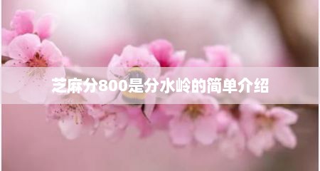 芝麻分800是分水岭的简单介绍