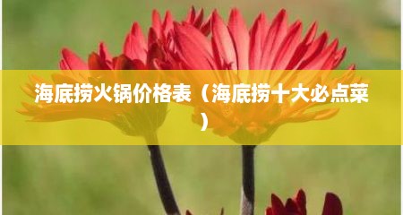 海底捞火锅价格表（海底捞十大必点菜）