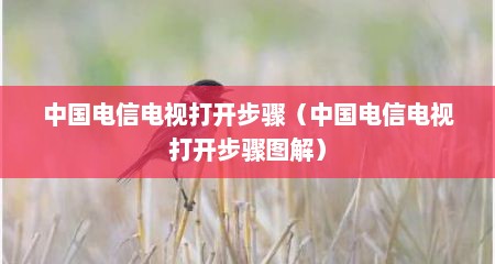 中国电信电视打开步骤（中国电信电视打开步骤图解）