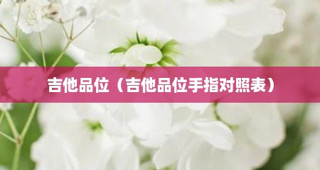 吉他品位（吉他品位手指对照表）