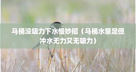 马桶没吸力下水慢妙招（马桶水量足但冲水无力又无吸力）