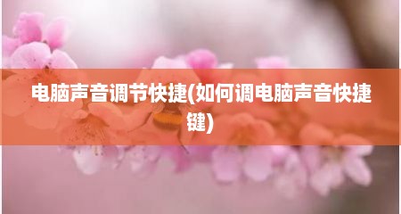 电脑声音调节快捷(如何调电脑声音快捷键)