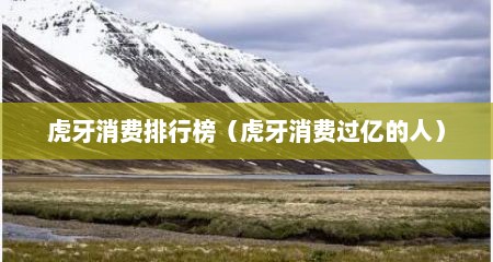 虎牙消费排行榜（虎牙消费过亿的人）