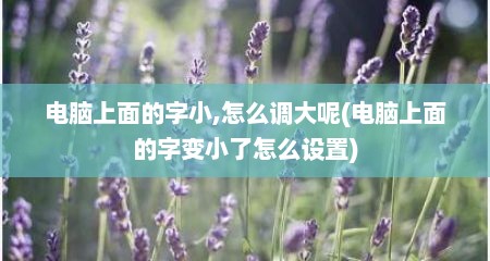 电脑上面的字小,怎么调大呢(电脑上面的字变小了怎么设置)