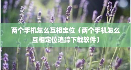两个手机怎么互相定位（两个手机怎么互相定位追踪下载软件）
