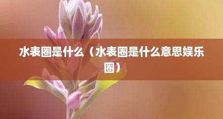 水表圈是什么（水表圈是什么意思娱乐圈）