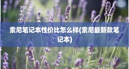 索尼笔记本性价比怎么样(索尼最新款笔记本)