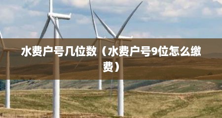 水费户号几位数（水费户号9位怎么缴费）