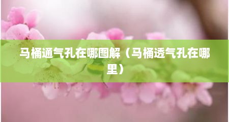 马桶通气孔在哪图解（马桶透气孔在哪里）