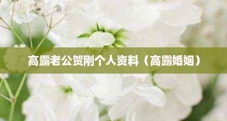 高露老公贺刚个人资料（高露婚姻）