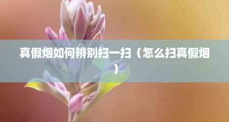 真假烟如何辨别扫一扫（怎么扫真假烟）
