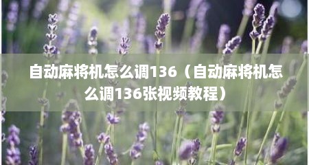 自动麻将机怎么调136（自动麻将机怎么调136张视频教程）