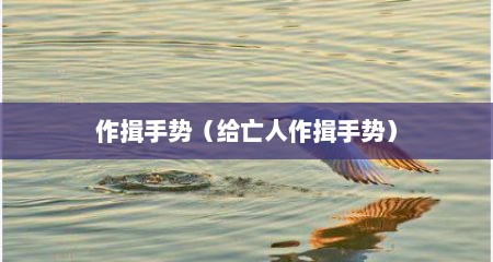 作揖手势（给亡人作揖手势）