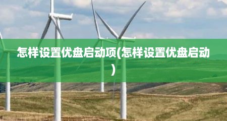 怎样设置优盘启动项(怎样设置优盘启动)