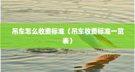 吊车怎么收费标准（吊车收费标准一览表）
