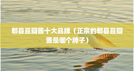 郫县豆瓣酱十大品牌（正宗的郫县豆瓣酱是哪个牌子）