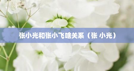 张小光和张小飞啥关系（张 小光）