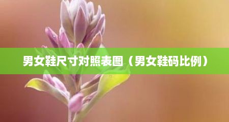 男女鞋尺寸对照表图（男女鞋码比例）