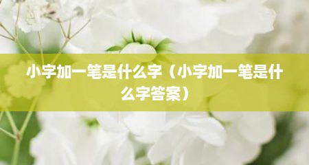小字加一笔是什么字（小字加一笔是什么字答案）