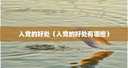 入党的好处（入党的好处有哪些）
