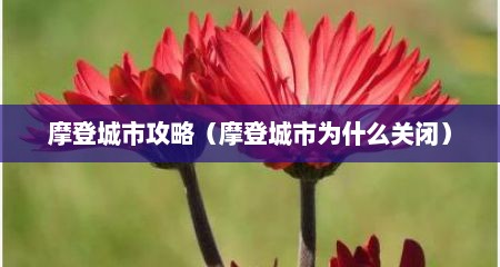 摩登城市攻略（摩登城市为什么关闭）
